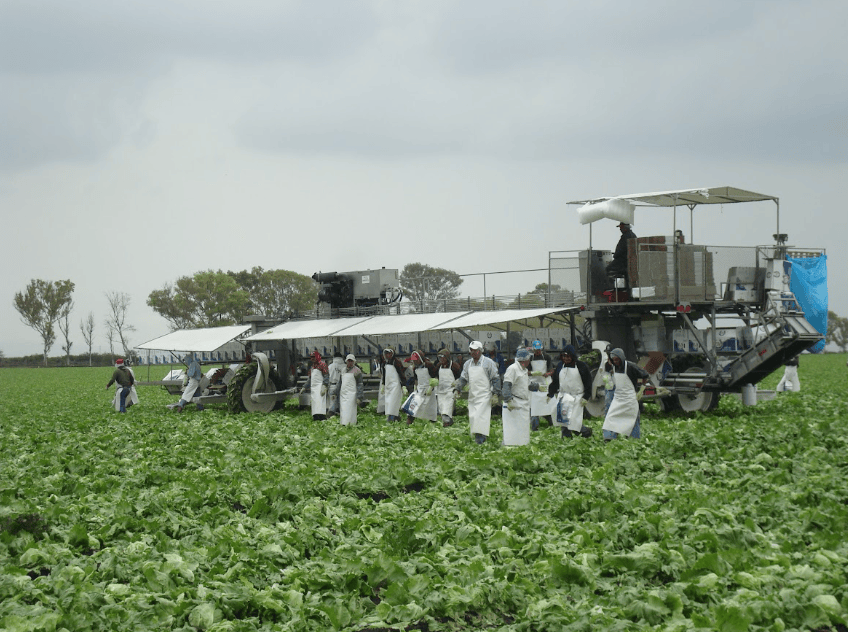 Agricultura certifica casi 6 mil unidades productivas en inocuidad&nbsp;alimentaria