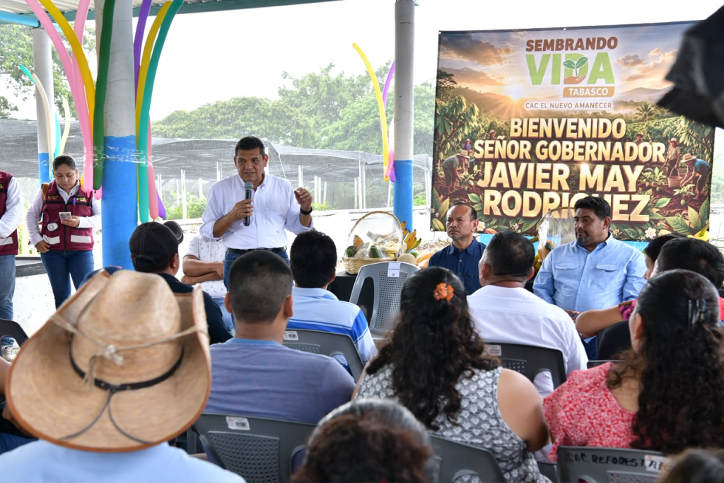 Javier May impulsa mejores precios para las familias cacaoteras de&nbsp;Tabasco