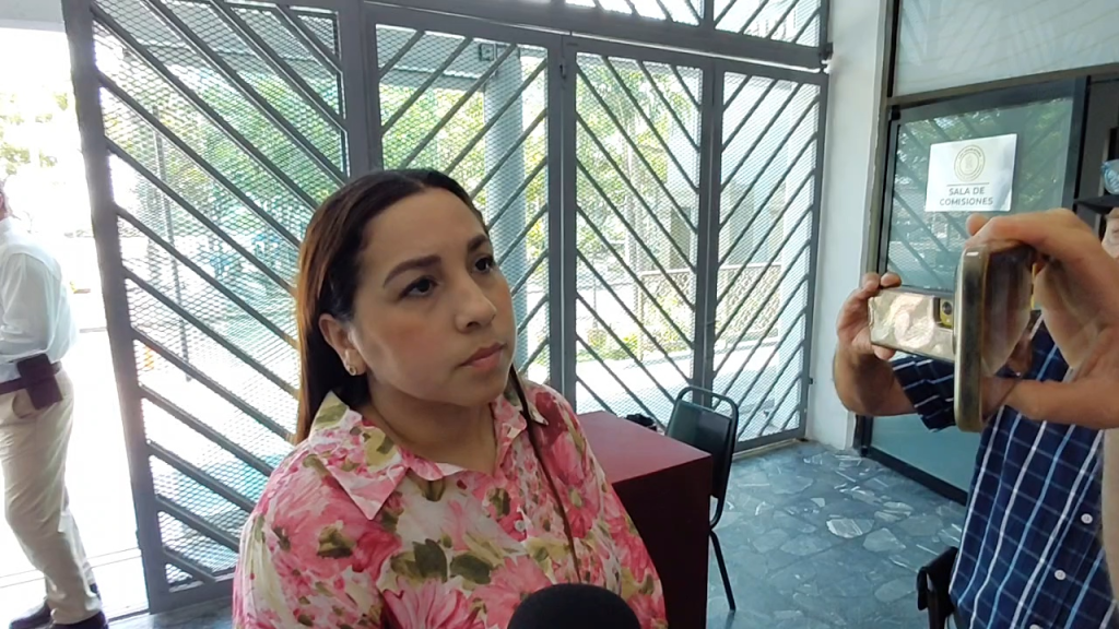 Morena acusa a dirigente del PAN de buscar “raja política” tras denuncia por&nbsp;amenazas