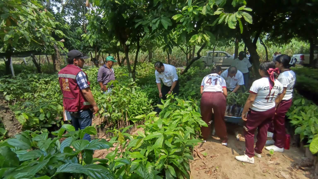 Estudiantes del COBATAB Plantel 41 participan en jornada estatal de&nbsp;reforestación