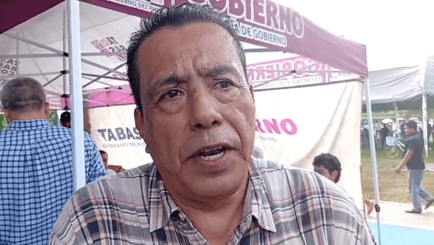 Plaga del amarillamiento amenaza hasta 25% de la producción cañera en el Plan Chontalpa