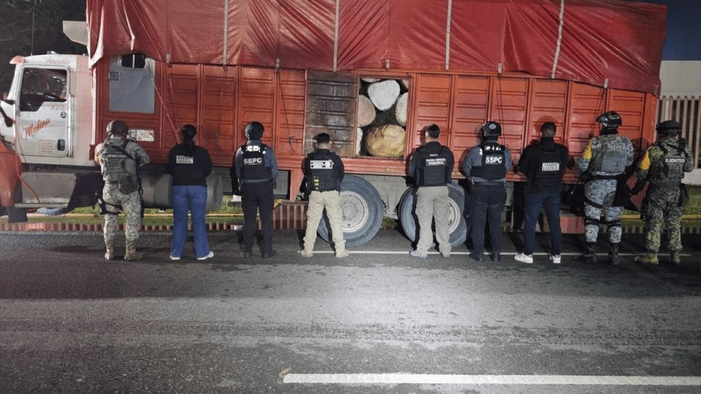 Detienen a chofer por transportar madera sin acreditar su procedencia en Centla