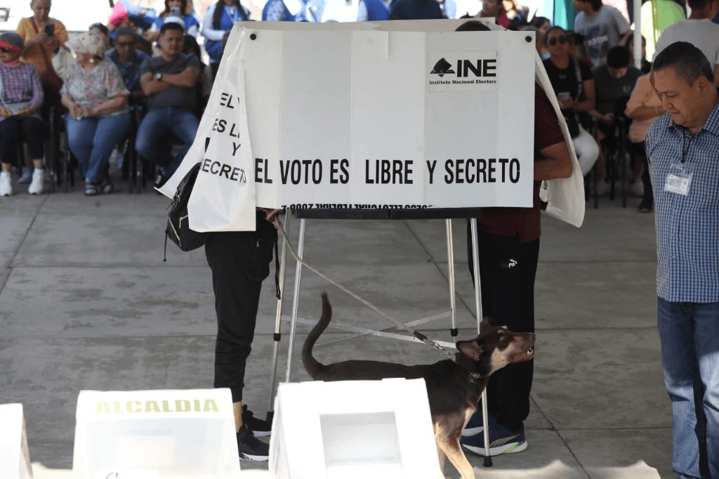 Javier May asegura que su gobierno no intervendrá en las elecciones de&nbsp;2027
