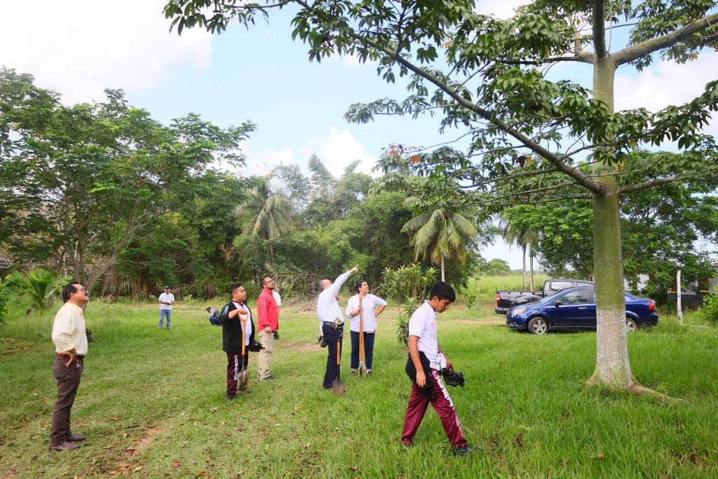 Impulsan conciencia ambiental entre estudiantes del COBATAB con jornada de&nbsp;reforestación
