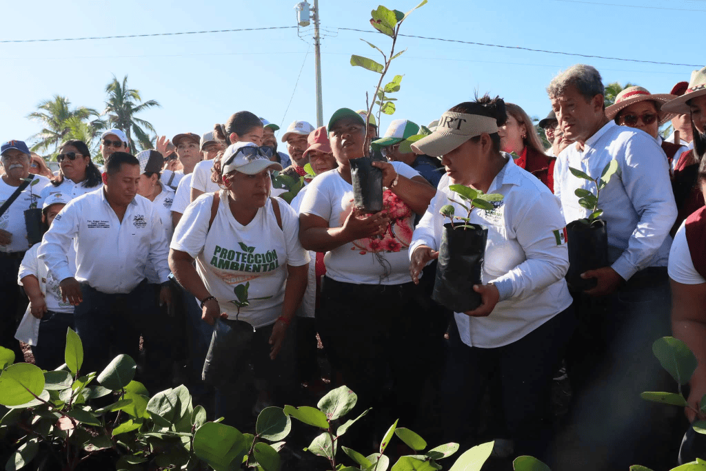 Concluyen jornadas de reforestación en Cárdenas con más de 147 mil&nbsp;plantas